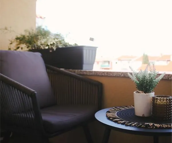 Hajdi * Ζαντάρ